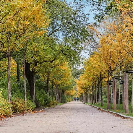 Edler Wohnraum Schwanenteich-oase Mit Balkon, Kaffeevollautomat, Lift & Parkplatz Apartment Zwickau