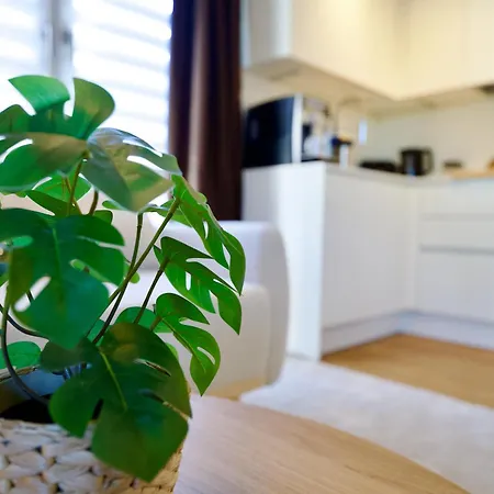 Edler Wohnraum Schwanenteich-oase Mit Balkon, Kaffeevollautomat, Lift & Parkplatz Apartment