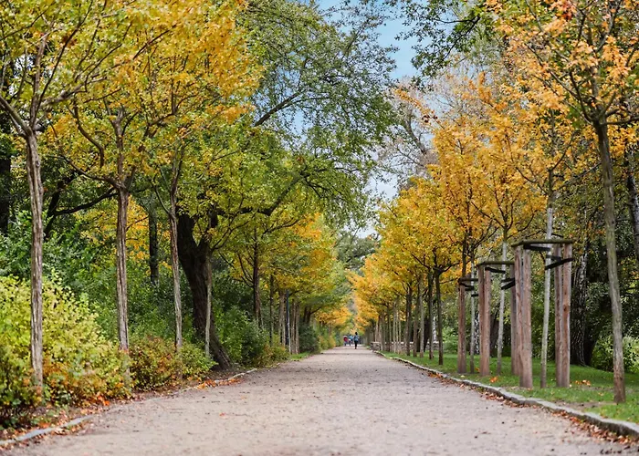 Edler Wohnraum Schwanenteich-oase Mit Balkon, Kaffeevollautomat, Lift & Parkplatz 公寓 茨维考