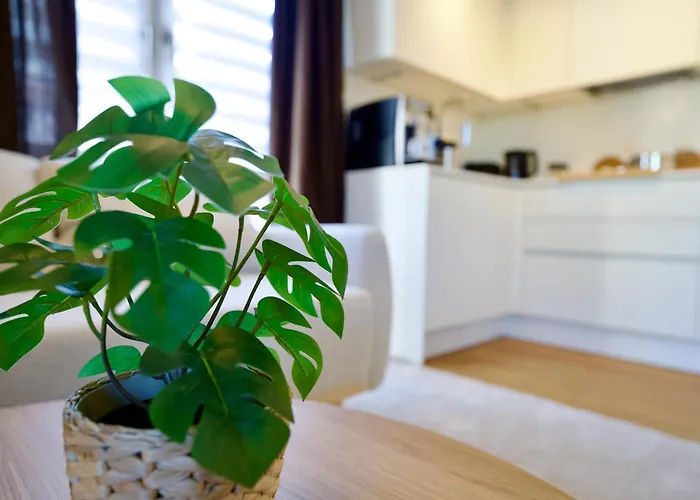 Edler Wohnraum Schwanenteich-oase Mit Balkon, Kaffeevollautomat, Lift & Parkplatz 公寓